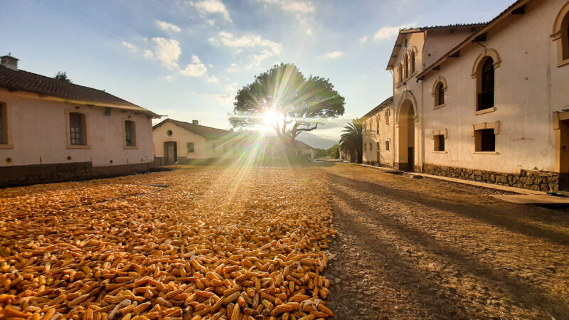 Ferme Pairumani