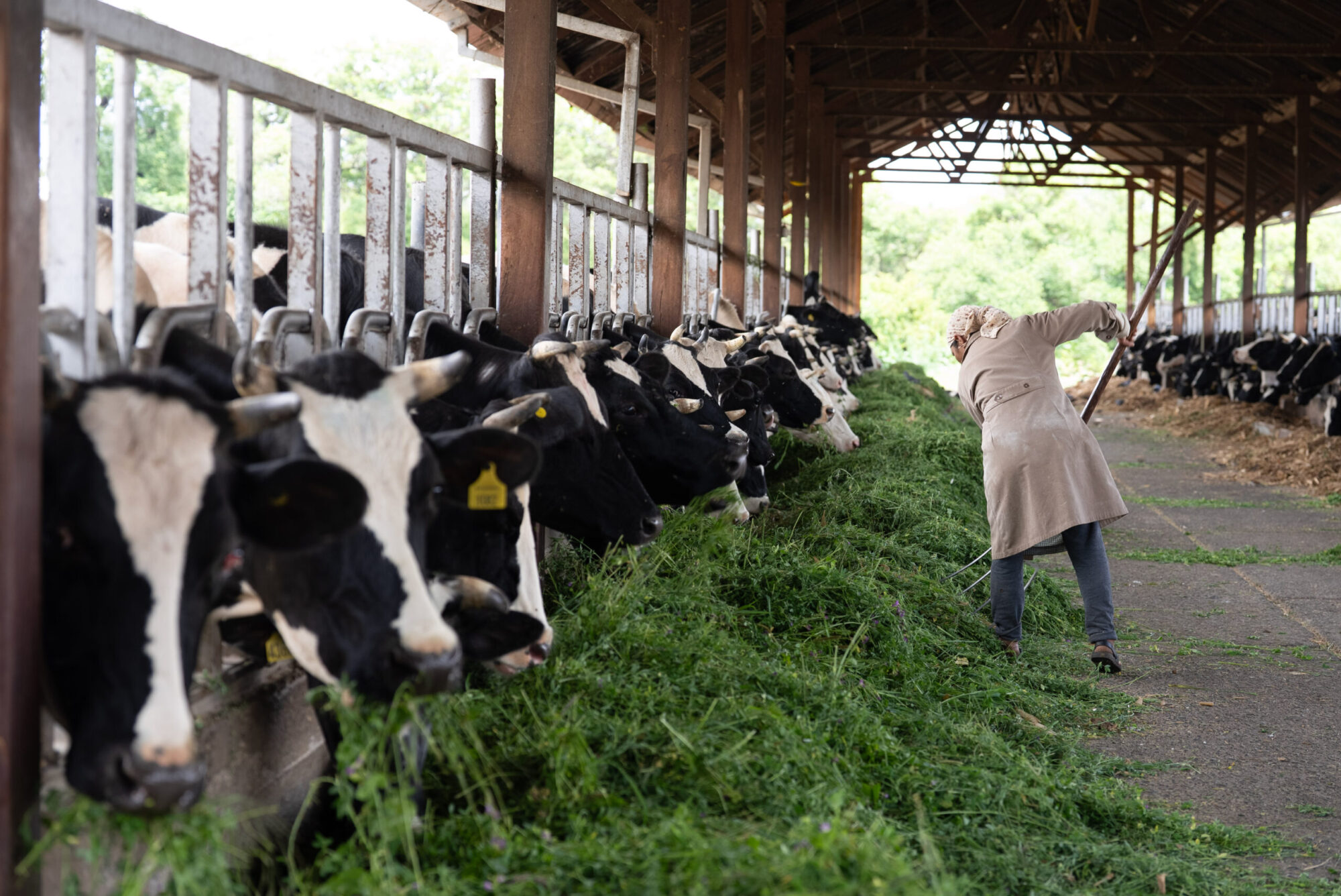 L’agroécologie